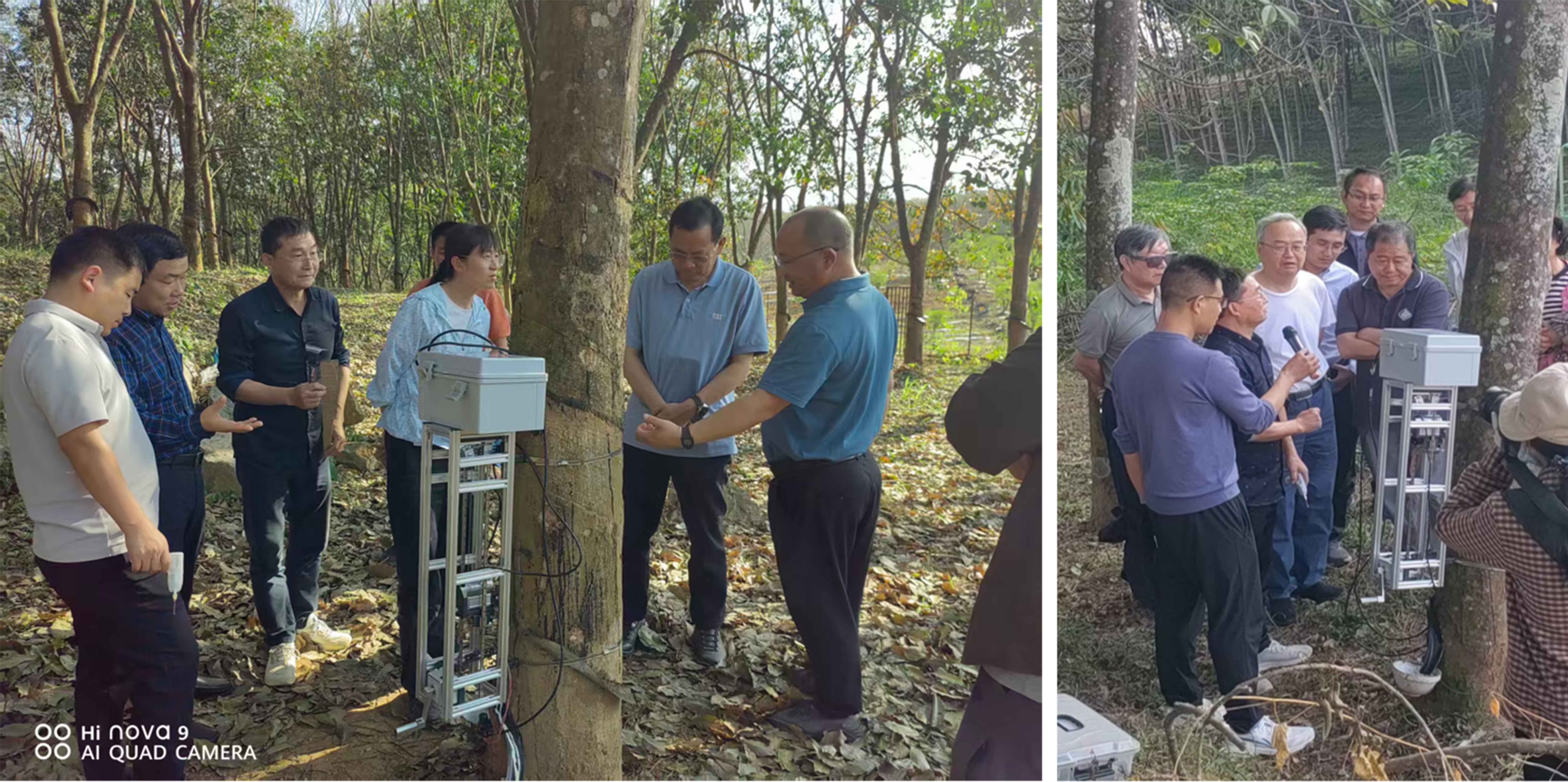 橡胶树微创采胶机