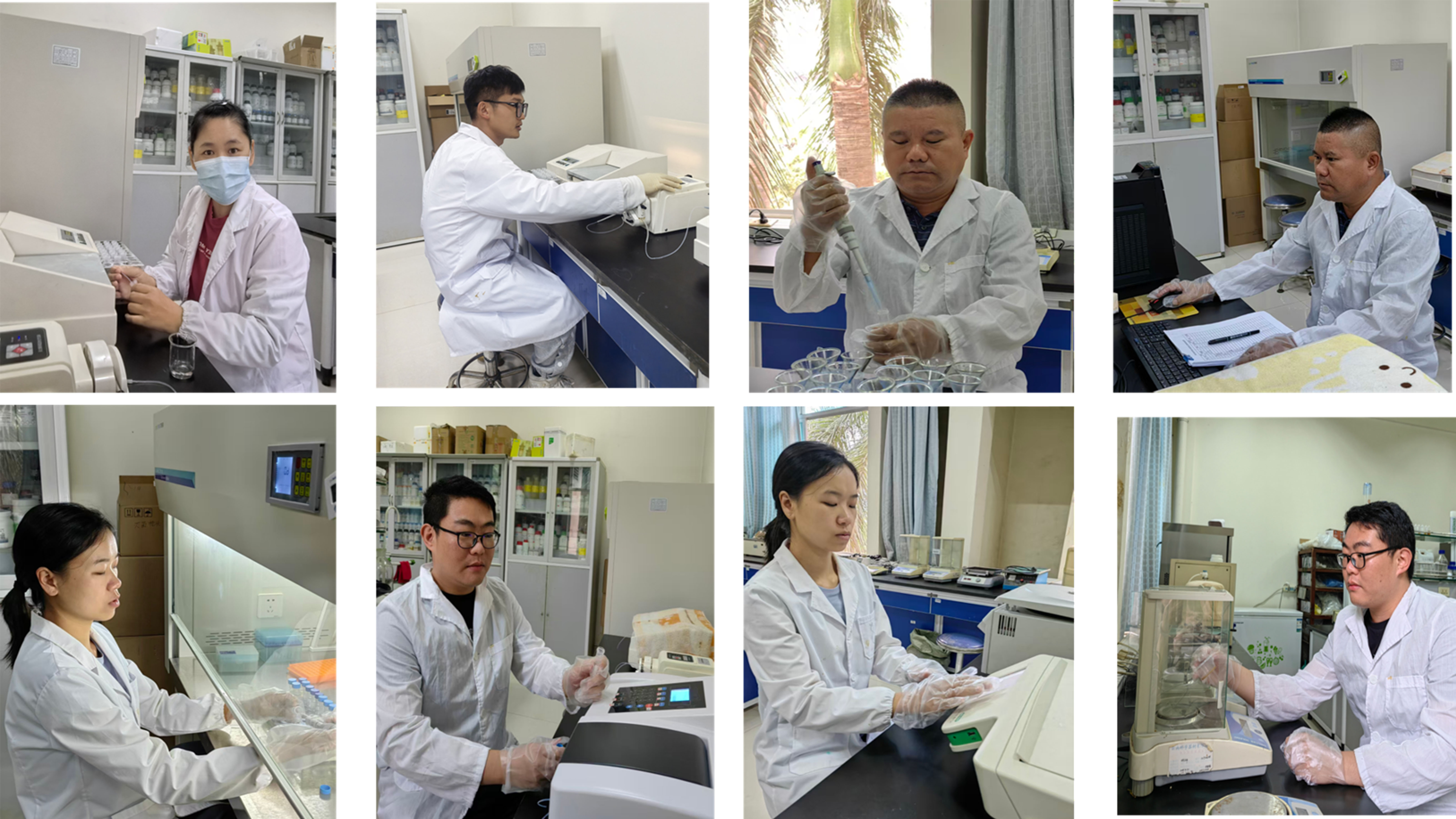 实验室工作照