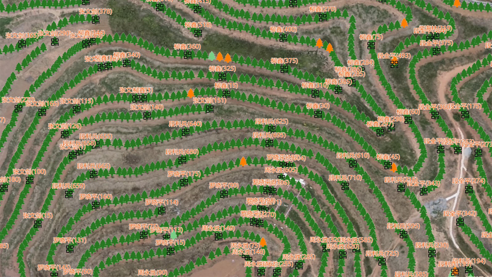 橡胶园信息化管理